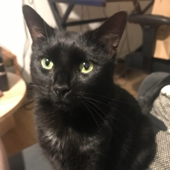 Jax DSH lost 6 march
